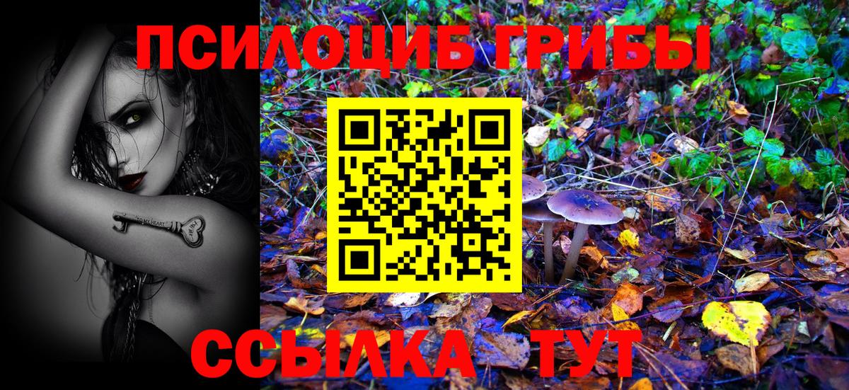 Псилоцибиновые грибы MAGIC MUSHROOMS  Вход с VPN  Тихвин 