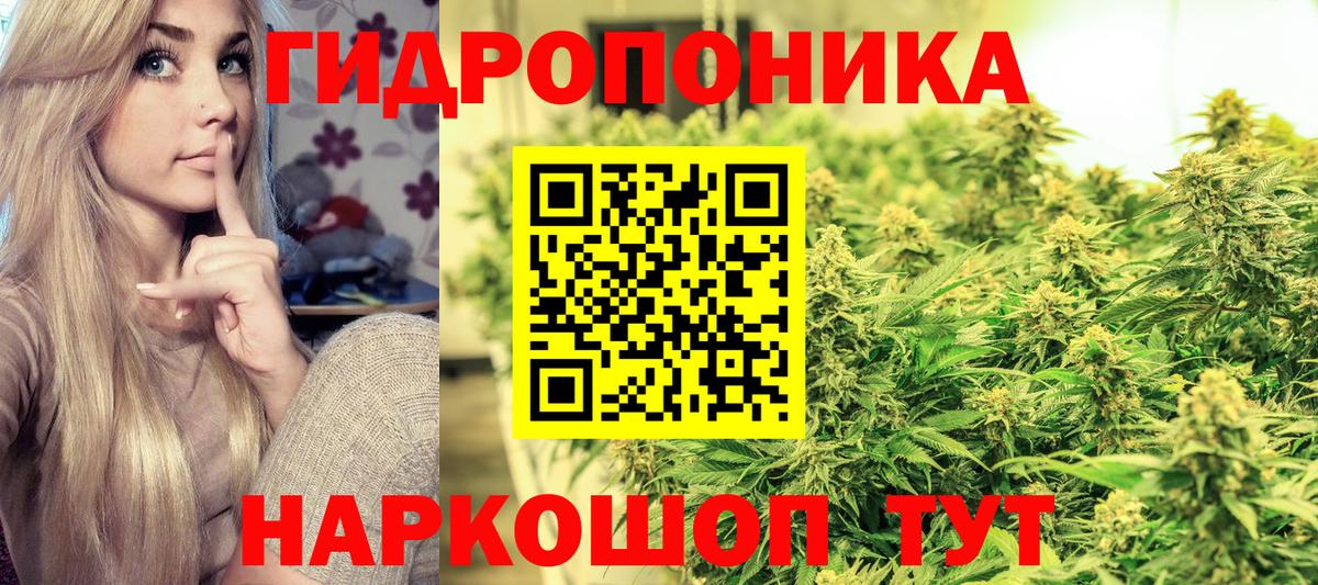 Шишки марихуана ГИДРОПОН  Вход с VPN  Конопля ГИДРОПОН  Бошки Шишки тримм  Тихвин 